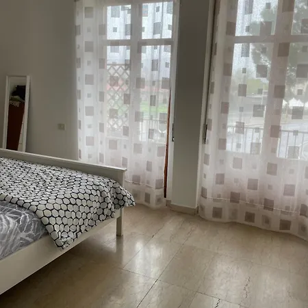 Modern Flat Redi
